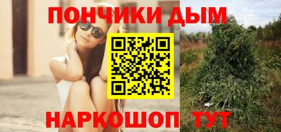 apvp Нальчик