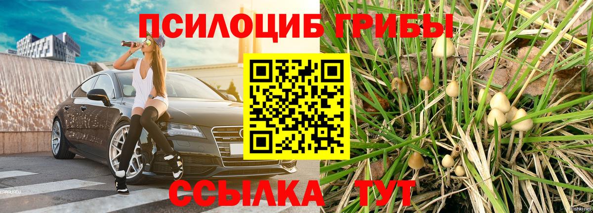 Чита  Галлюциногенные грибы ЛСД  Вход с VPN 